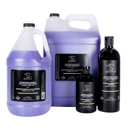 Shampooing Calmant aux Huiles essentielles Lavande et Arbre à Thé (sans larmes)